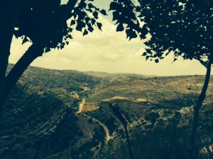 Foto Israel 5