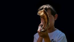 shofar-4518107_1920