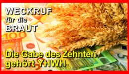 196_Weckruf-fuer-die-Braut_Episode-196
