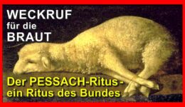 197_Weckruf-fuer-die-Braut_Episode-197