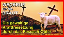 198_Weckruf-fuer-die-Braut_Episode-198