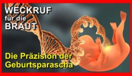 201_Weckruf-fuer-die-Braut_Episode-201