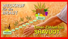 204_Weckruf-fuer-die-Braut_Episode-204