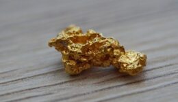 Nugget zur Parascha “Pinchas”