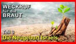 236_Weckruf-fuer-die-Braut_Episode-236