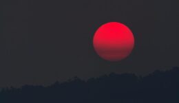 pexels-pedro-figueras-202443-681467