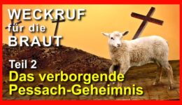 247_Weckruf-fuer-die-Braut_Episode-247