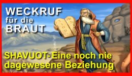 252_Weckruf für die Braut_Episode 252