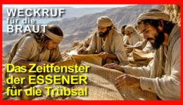 302_Weckruf für die Braut_Episode_302