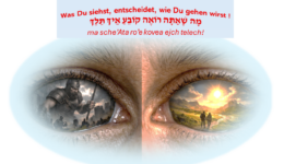 Screenshot Parascha 'schelach-lecha'
