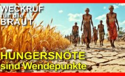 306_Weckruf für die Braut_Episode_306