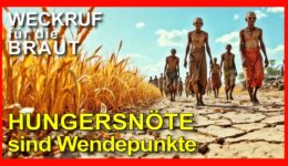306_Weckruf für die Braut_Episode_306